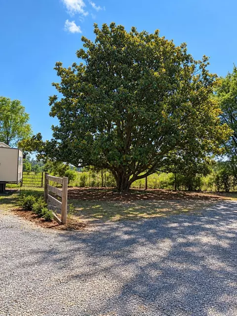Exterior - 811 Central Rd, Horatio, AR 71842 photo 9 of 9