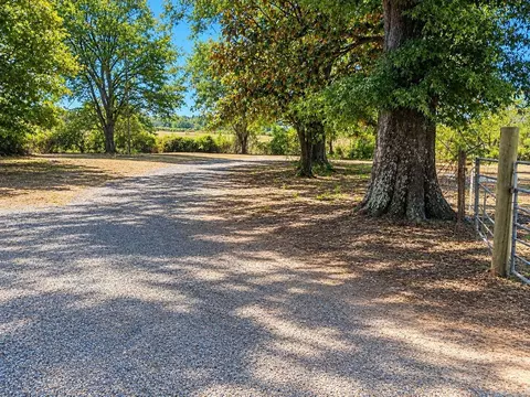 Exterior - 811 Central Rd, Horatio, AR 71842 photo 8 of 9
