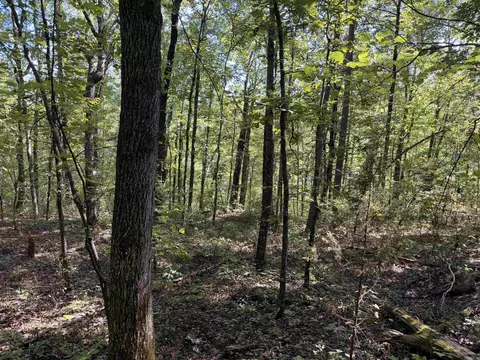 00 Calico Rd, Clinton, AR 72031 photo 24