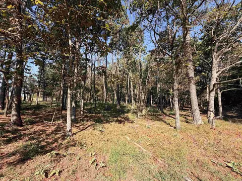 00 Calico Rd, Clinton, AR 72031 photo 19