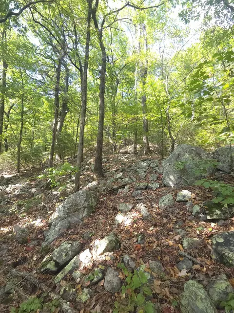 tbd Diamond Rose Ln, Mena, AR 71953 photo 41