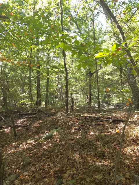 tbd Diamond Rose Ln, Mena, AR 71953 photo 22