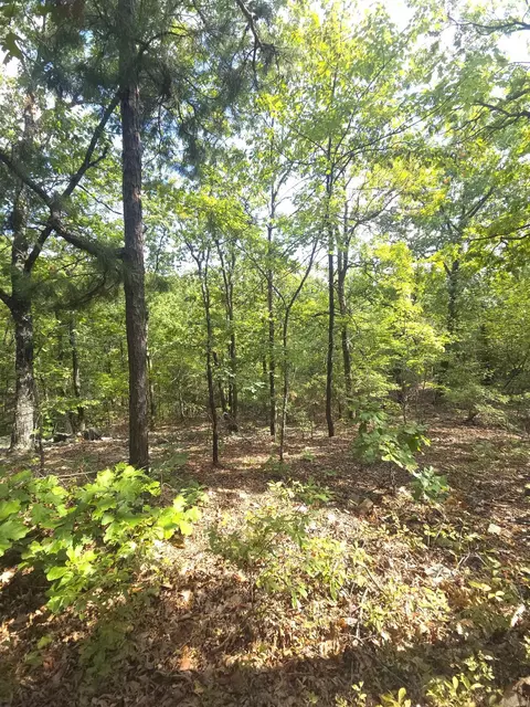tbd Diamond Rose Ln, Mena, AR 71953 photo 33
