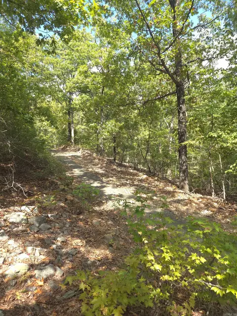 tbd Diamond Rose Ln, Mena, AR 71953 photo 31
