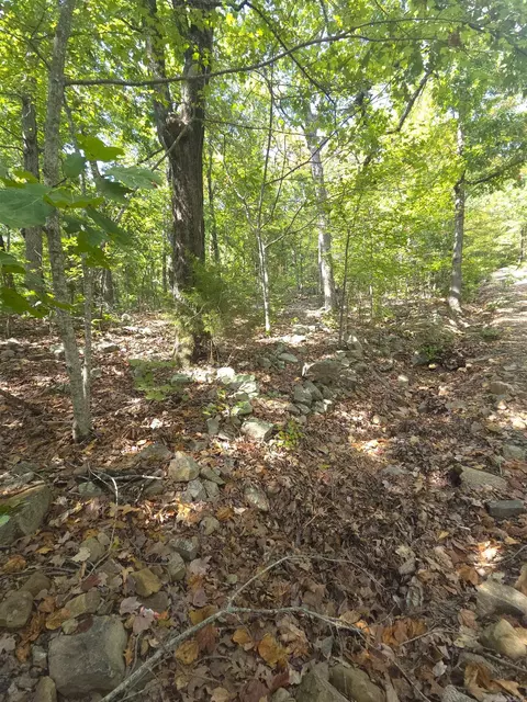 tbd Diamond Rose Ln, Mena, AR 71953 photo 37
