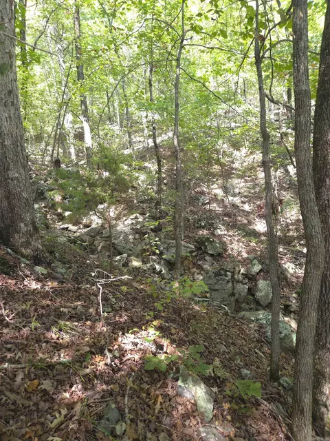 tbd Diamond Rose Ln, Mena, AR 71953 photo 8