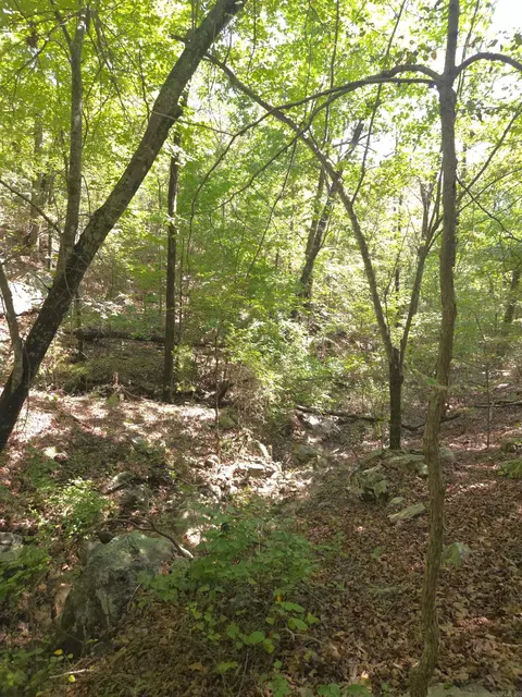 tbd Diamond Rose Ln, Mena, AR 71953 photo 12