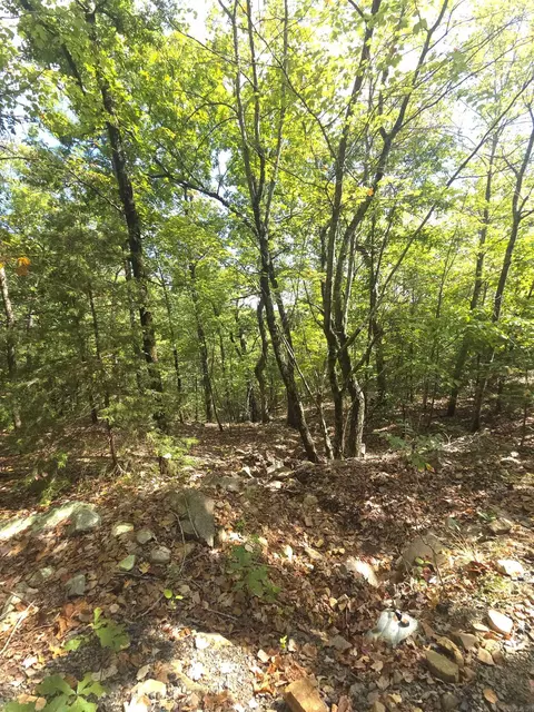 tbd Diamond Rose Ln, Mena, AR 71953 photo 38