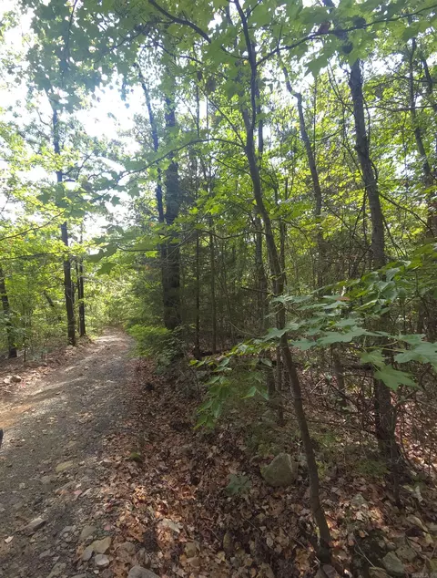 tbd Diamond Rose Ln, Mena, AR 71953 photo 45