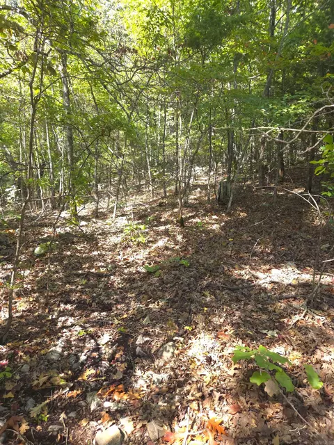 tbd Diamond Rose Ln, Mena, AR 71953 photo 19