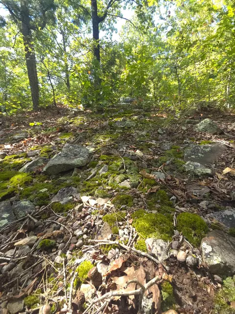 tbd Diamond Rose Ln, Mena, AR 71953 photo 36