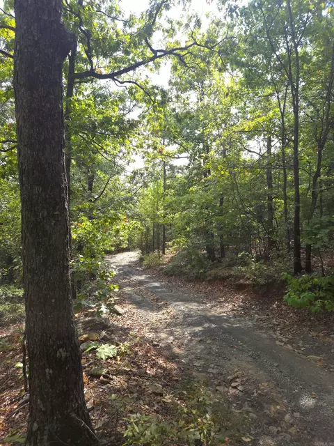 tbd Diamond Rose Ln, Mena, AR 71953 photo 32