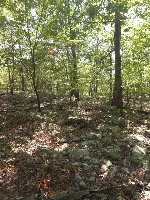tbd Diamond Rose Ln, Mena, AR 71953 photo 25