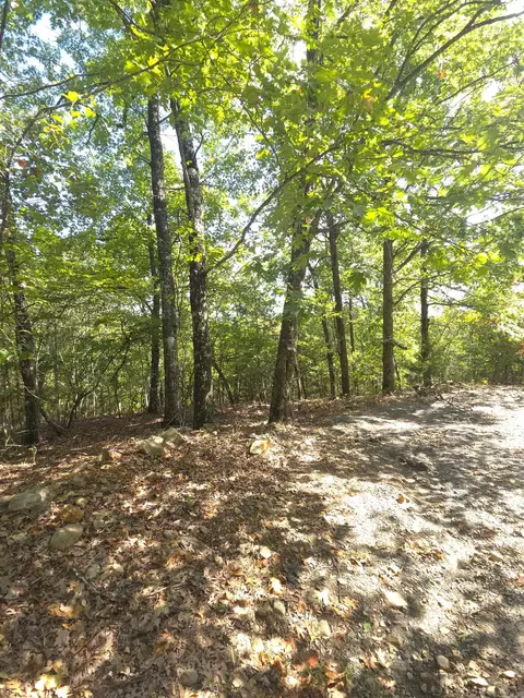 tbd Diamond Rose Ln, Mena, AR 71953 photo 49