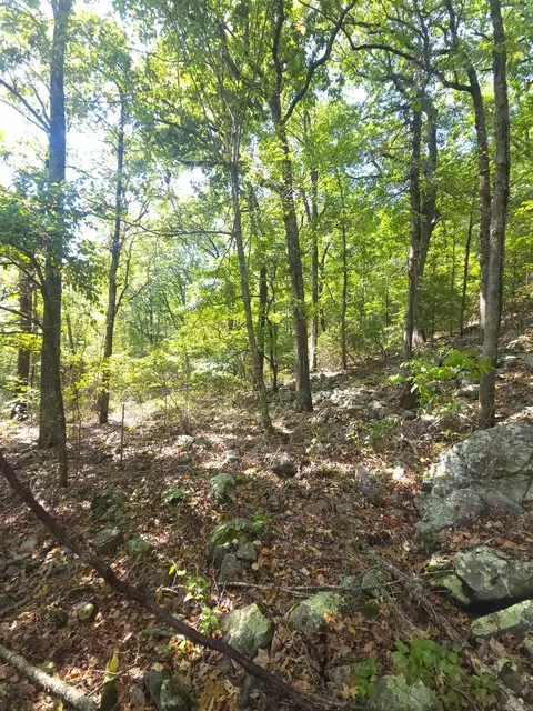 tbd Diamond Rose Ln, Mena, AR 71953 photo 42