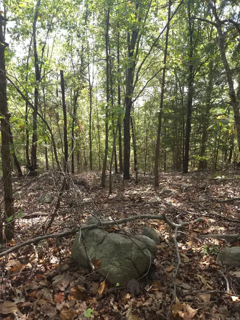 tbd Diamond Rose Ln, Mena, AR 71953 photo 29