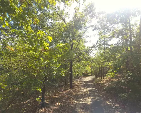 tbd Diamond Rose Ln, Mena, AR 71953 photo 2
