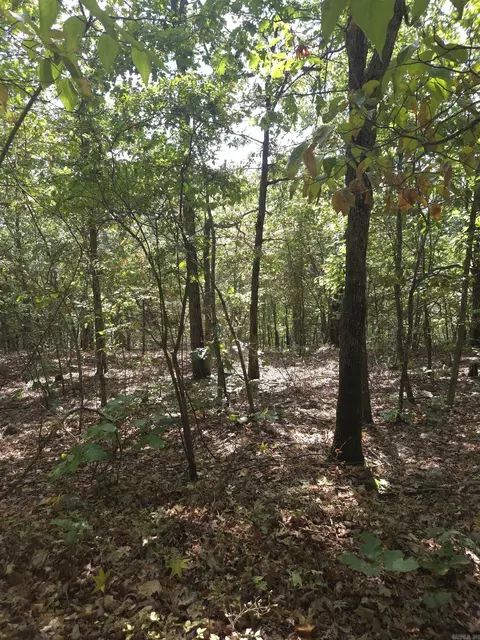 tbd Diamond Rose Ln, Mena, AR 71953 photo 28
