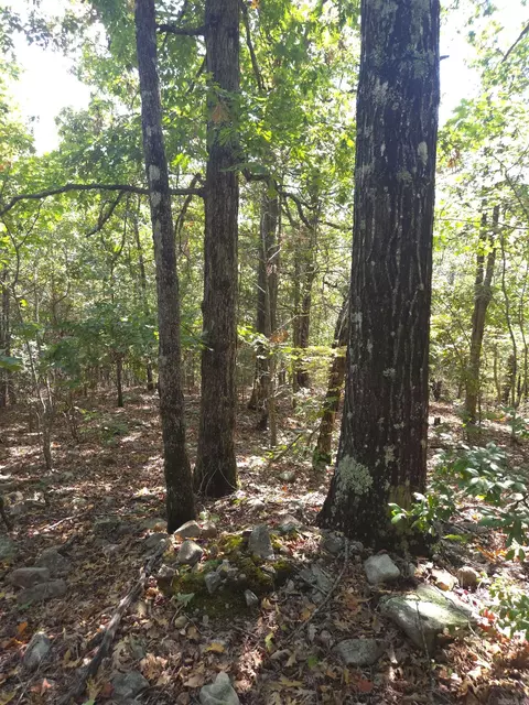 tbd Diamond Rose Ln, Mena, AR 71953 photo 20