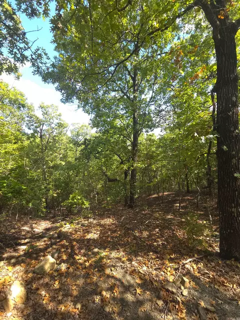 tbd Diamond Rose Ln, Mena, AR 71953 photo 48