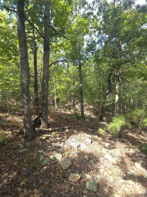 tbd Diamond Rose Ln, Mena, AR 71953 photo 35