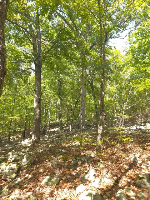 tbd Diamond Rose Ln, Mena, AR 71953 photo 21