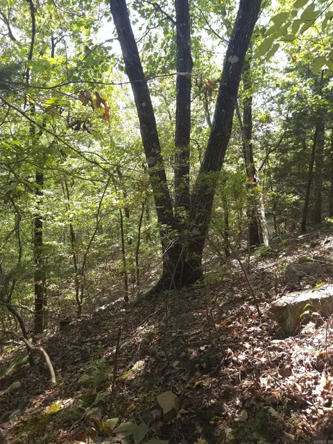 tbd Diamond Rose Ln, Mena, AR 71953 photo 6