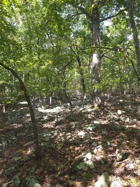 tbd Diamond Rose Ln, Mena, AR 71953 photo 23
