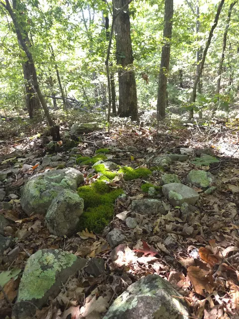 tbd Diamond Rose Ln, Mena, AR 71953 photo 27