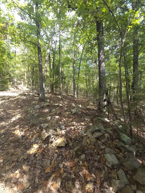 tbd Diamond Rose Ln, Mena, AR 71953 photo 44