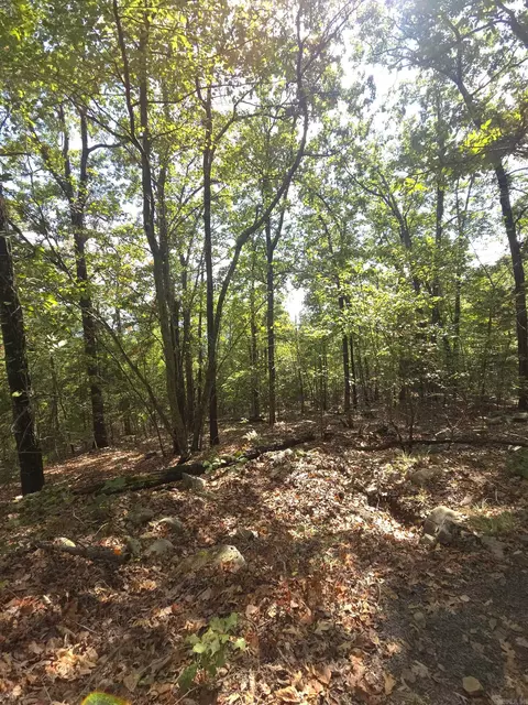 tbd Diamond Rose Ln, Mena, AR 71953 photo 47