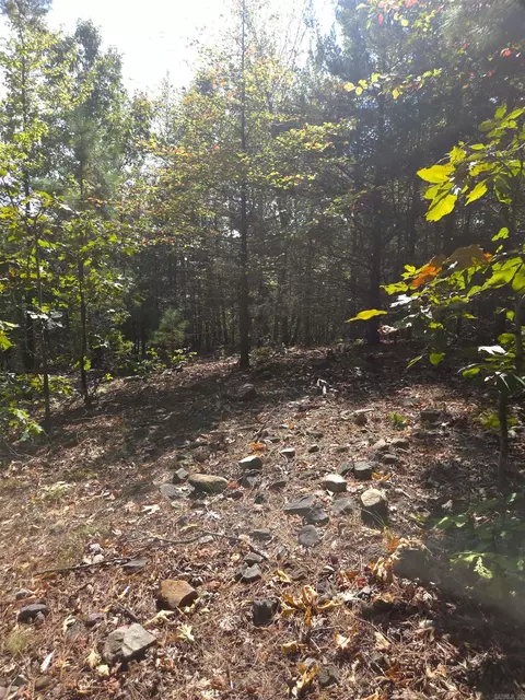 tbd Diamond Rose Ln, Mena, AR 71953 photo 18