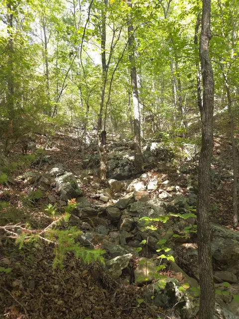 tbd Diamond Rose Ln, Mena, AR 71953 photo 11