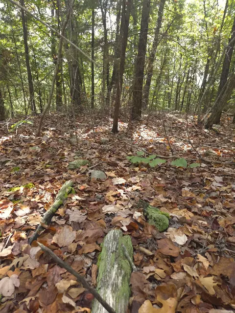 tbd Diamond Rose Ln, Mena, AR 71953 photo 30
