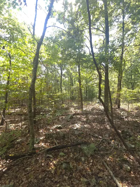 tbd Diamond Rose Ln, Mena, AR 71953 photo 43