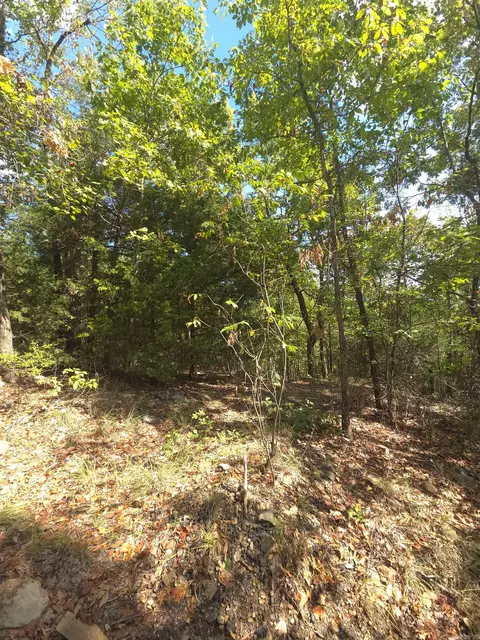 tbd Diamond Rose Ln, Mena, AR 71953 photo 50