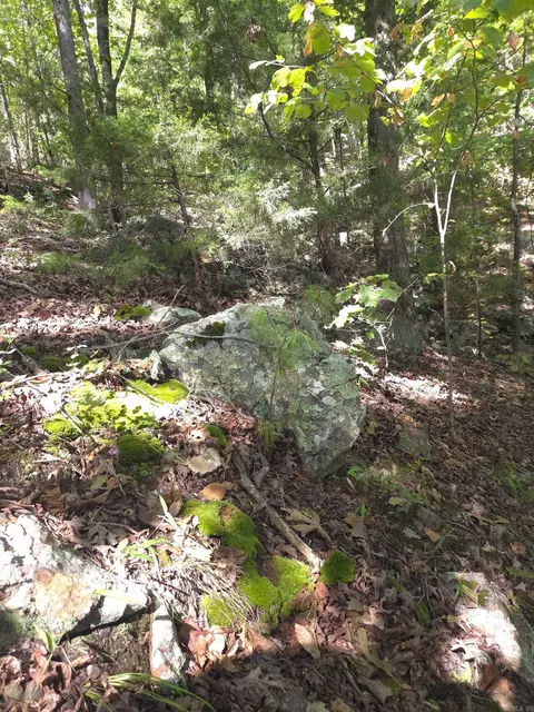 tbd Diamond Rose Ln, Mena, AR 71953 photo 7