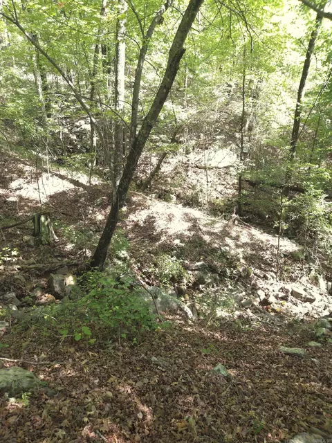 tbd Diamond Rose Ln, Mena, AR 71953 photo 9