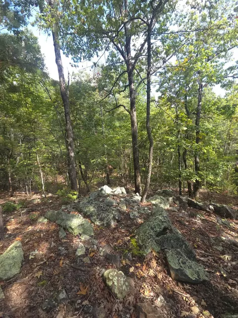 tbd Diamond Rose Ln, Mena, AR 71953 photo 34