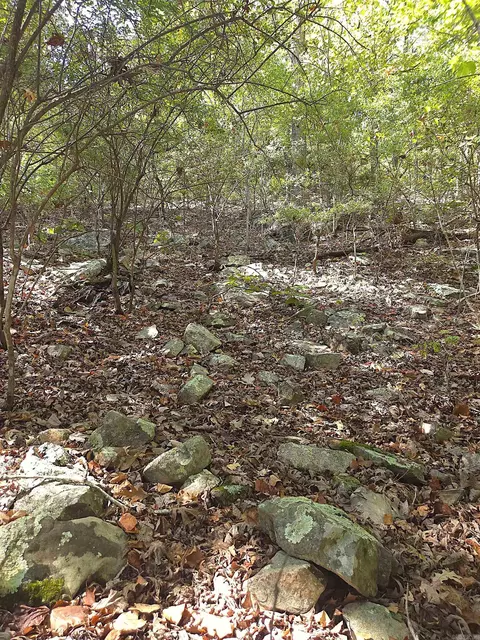 tbd Diamond Rose Ln, Mena, AR 71953 photo 15