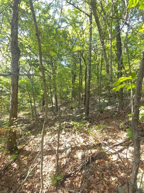 tbd Diamond Rose Ln, Mena, AR 71953 photo 40