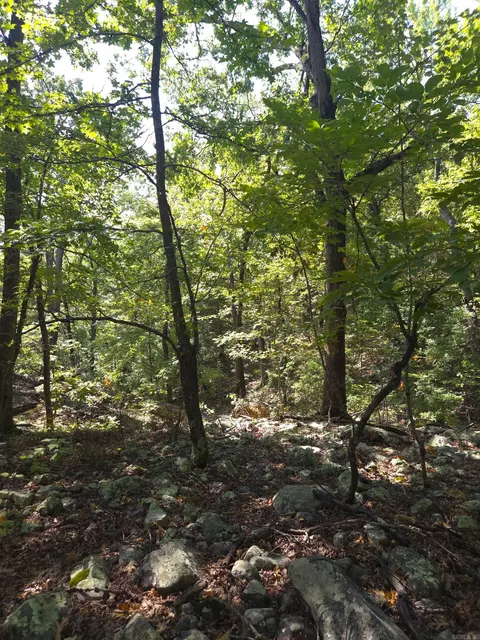 tbd Diamond Rose Ln, Mena, AR 71953 photo 24