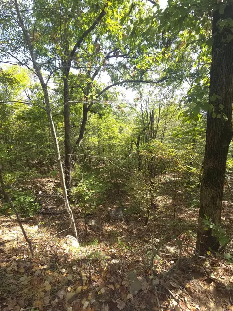 tbd Diamond Rose Ln, Mena, AR 71953 photo 46