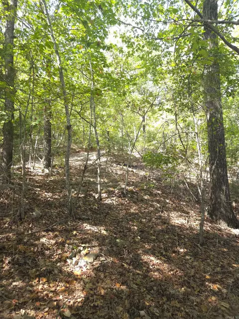 tbd Diamond Rose Ln, Mena, AR 71953 photo 17