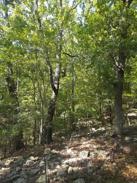 tbd Diamond Rose Ln, Mena, AR 71953 photo 26