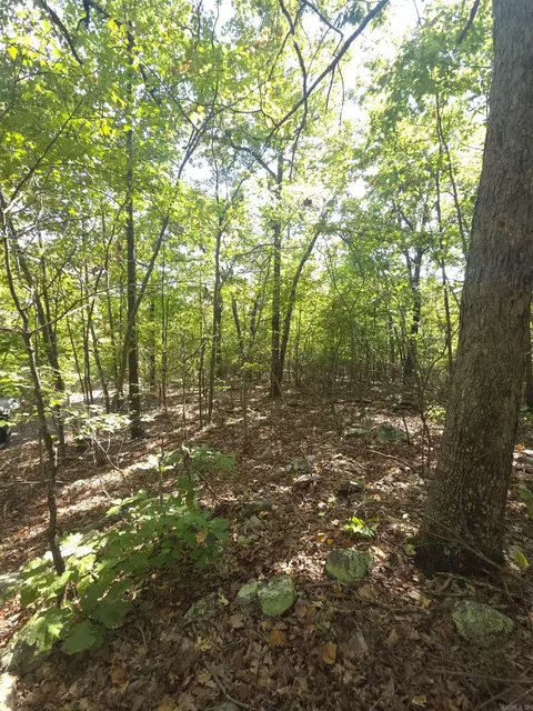 tbd Diamond Rose Ln, Mena, AR 71953 photo 39