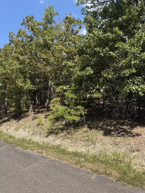 3 Ermalinda Pl, Hot Springs Village, AR 71909