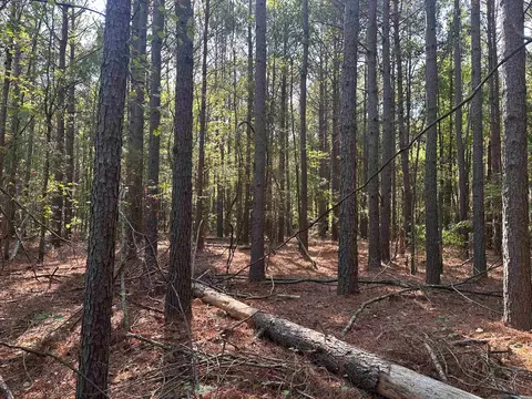 00 Wagontrain Rd, Mcrae, AR 72102 photo 5