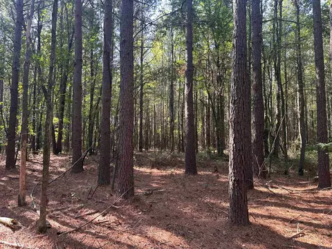 00 Wagontrain Rd, Mcrae, AR 72102 photo 6