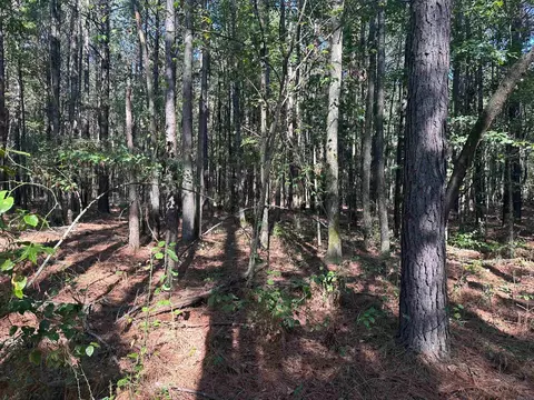 00 Wagontrain Rd, Mcrae, AR 72102 photo 7